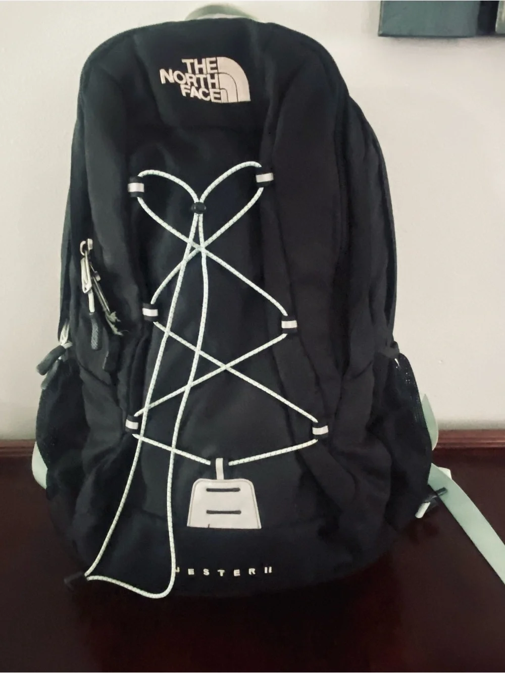 The North Face Black Backpack with Mint Accent Bungee Jester ll